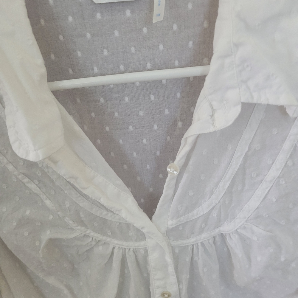 Izod White Sheer Blouse